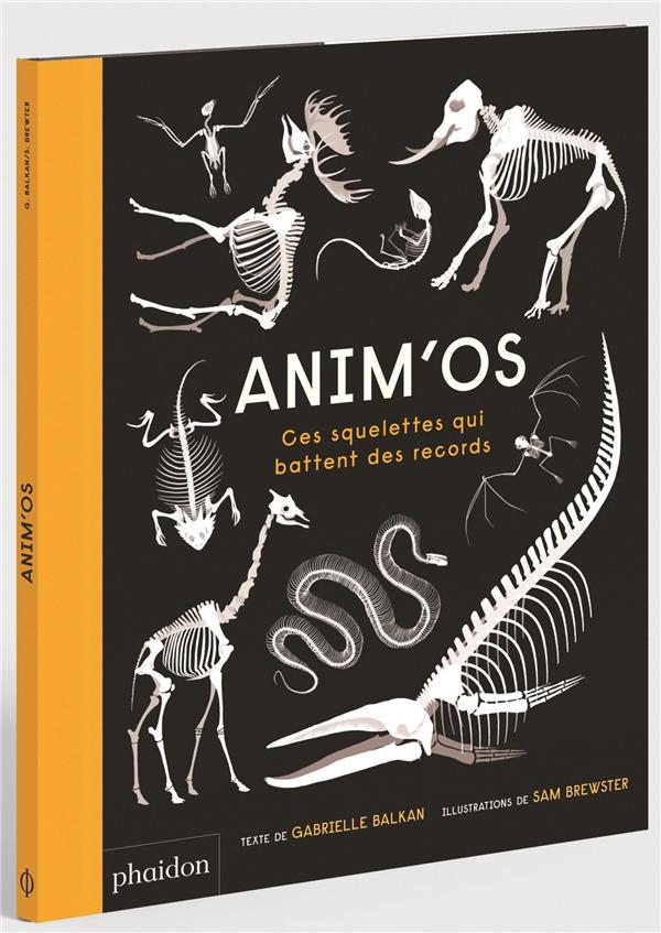 Anim'os - flash vidéo