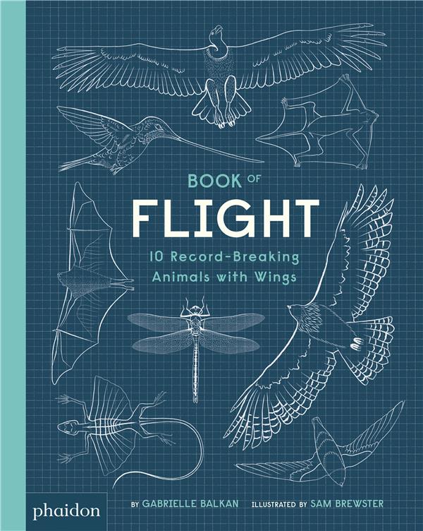 Book of flight ; 10 record-breaking animals with wings - flash vidéo