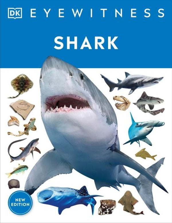 EYEWITNESS SHARK ; DIVE INTO THE FASCINATING WORLD OF SHARKS