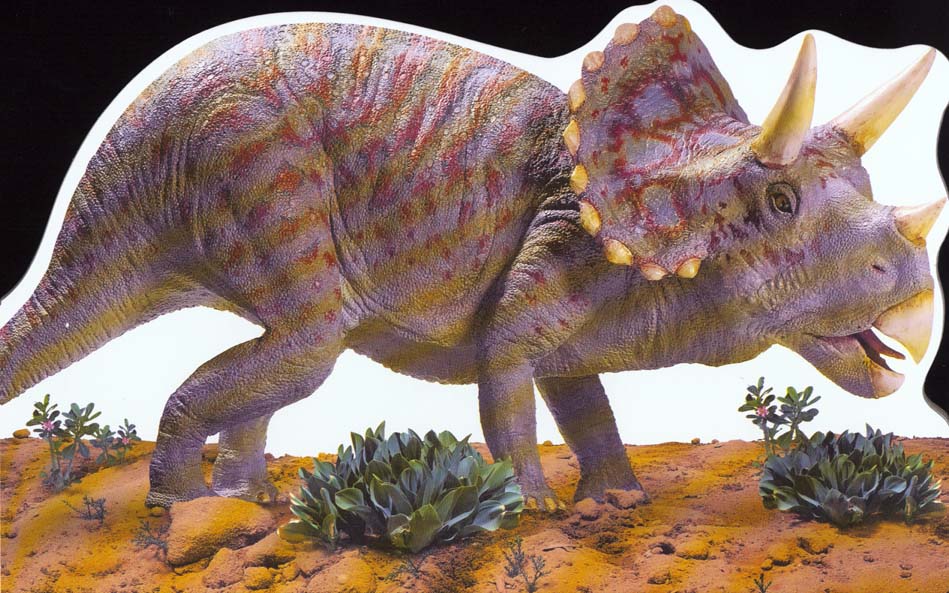 Triceratops