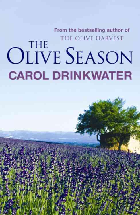 The olive season