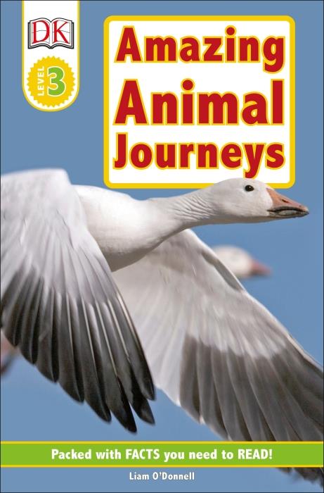 AMAZING ANIMAL JOURNEYS - READERS LEVEL 3