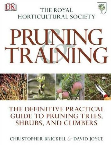 Rhs pruning and training
