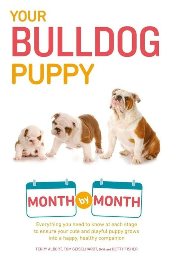YOUR BULLDOG PUPPY MONTH BY MONTH ; EVERYTHING YOU NEED TO KNOW AT EACH STAGE TO ENSURE YOUR CUTE AND