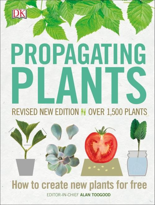 PROPAGATING PLANTS - HOW TO CREATE NEW PLANTS FOR FREE
