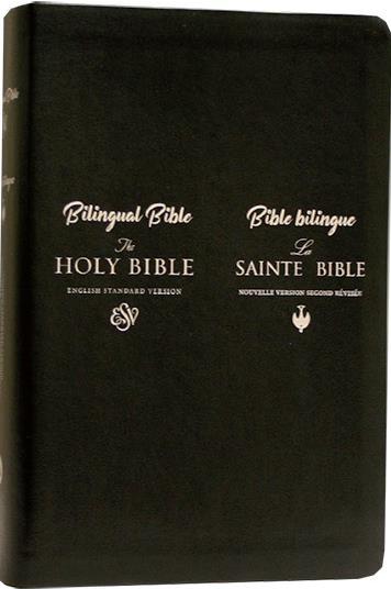 Bible - flash vidéo