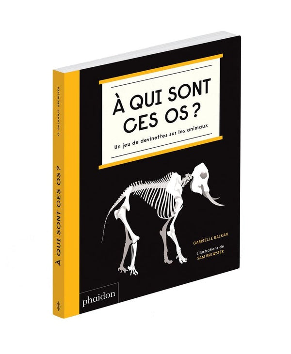 à qui sont ces os ? un jeu de devinettes sur les animaux - flash vidéo