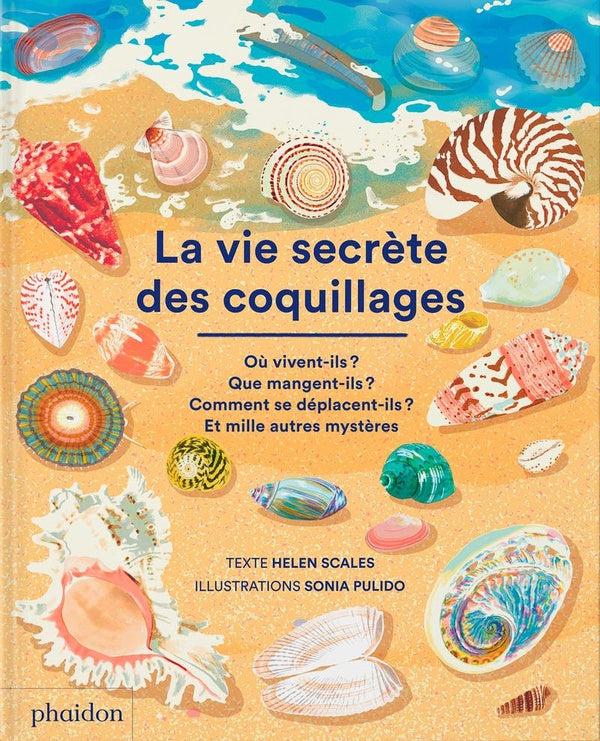 La vie secrète des coquillages - flash vidéo