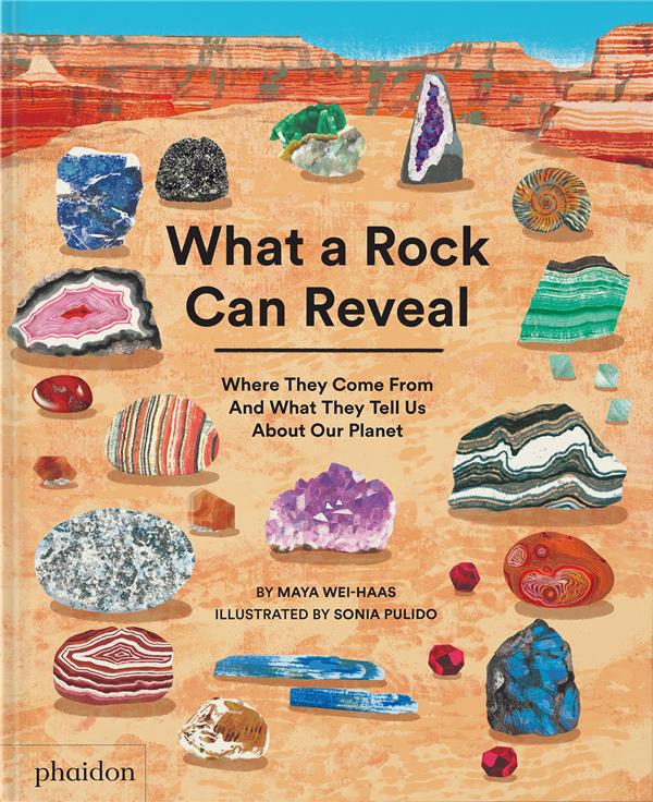 What a rock can reveal : Where They Come From And What They Tell Us About Our Planet - flash vidéo