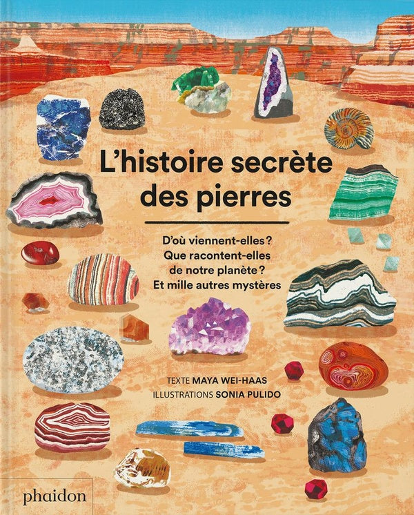 L'histoire secrète des pierres : D'où viennent-elles ? Que racontent-elles de notre planète ? Et mille autres mystères - flash vidéo