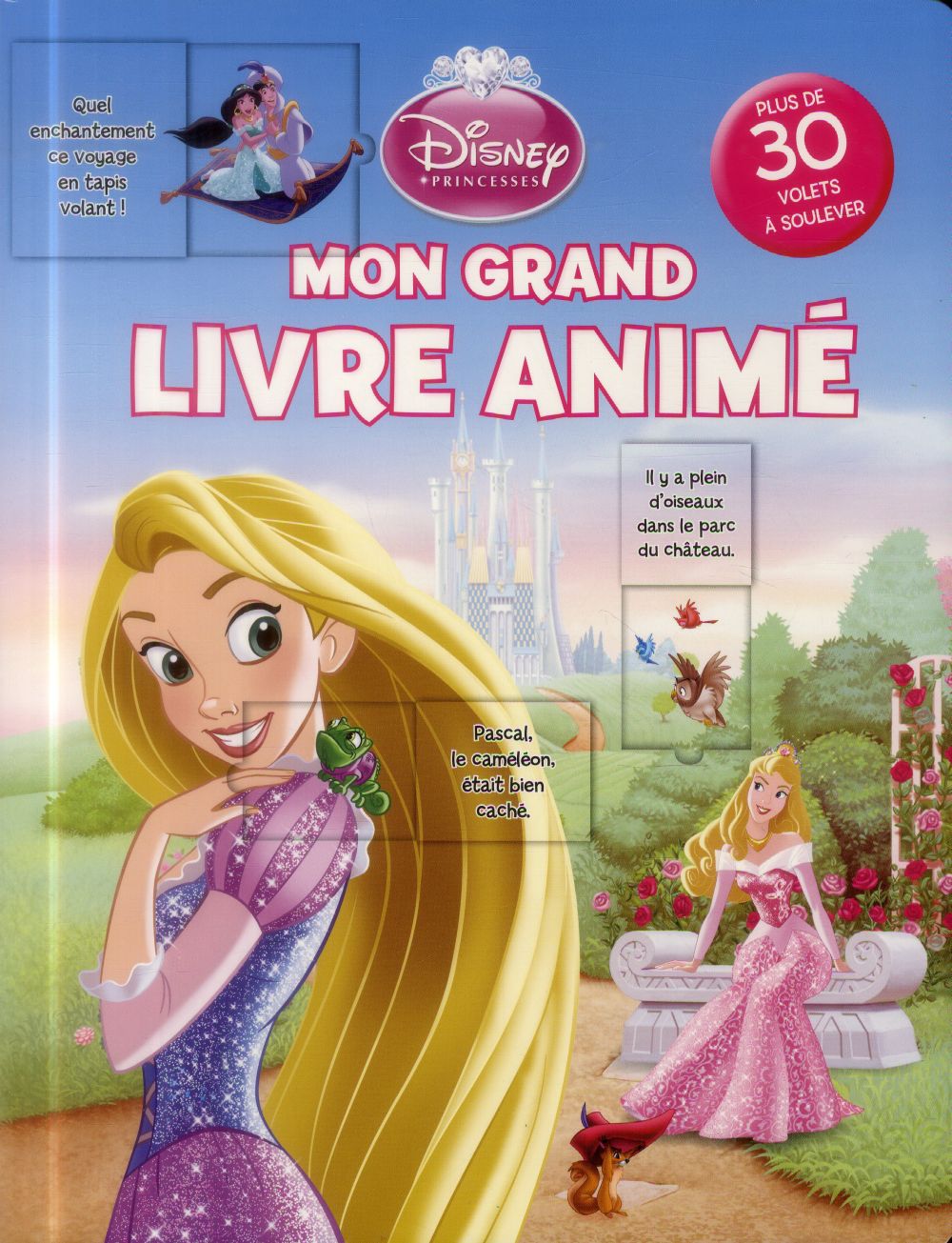 Princesses ; mon grand livre animé