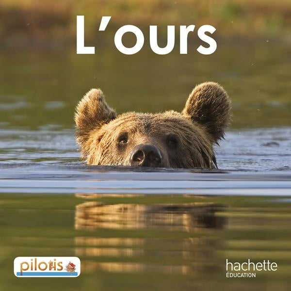 Pilotis : français ; lecture ; CP ; l'ours