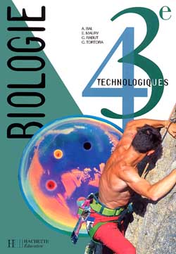 4E 3E TECHNO