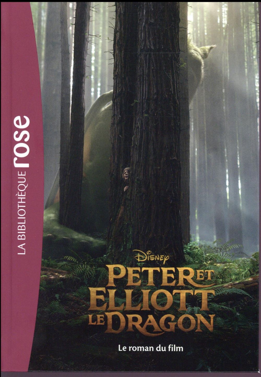 Peter et Elliott le dragon ; le roman du film