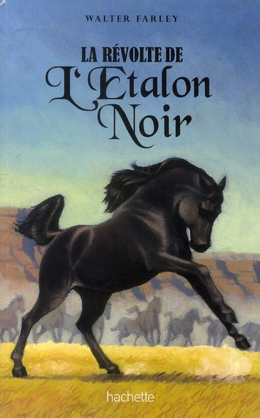 L'étalon noir : la révolte de l'étalon noir