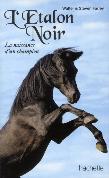 L'étalon noir : la naissance d'un champion