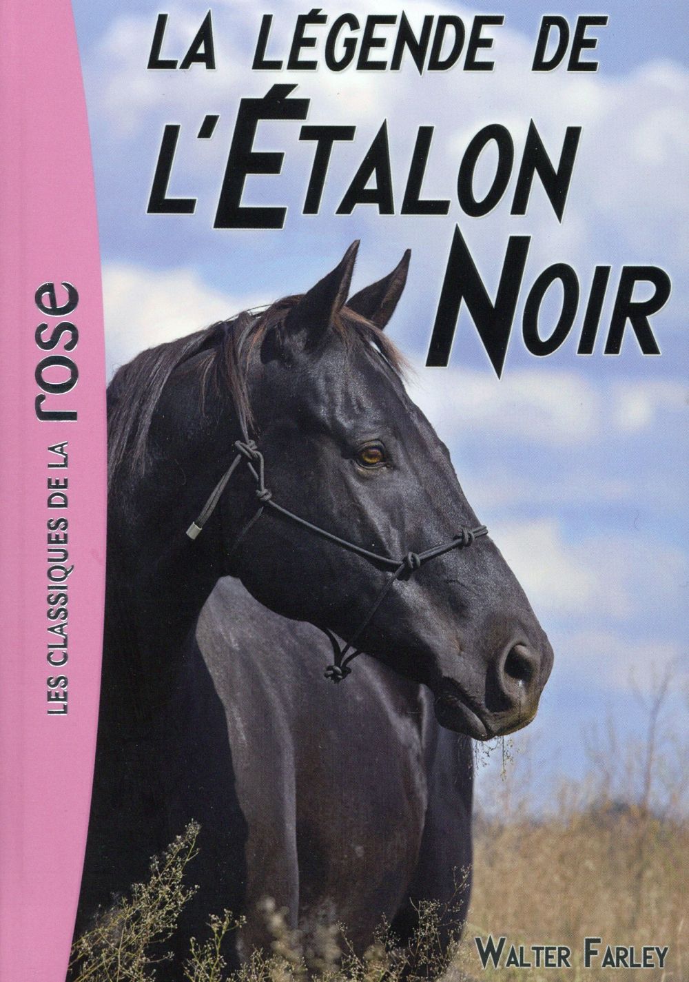 L'étalon noir Tome 15 : la légende de l'étalon noir