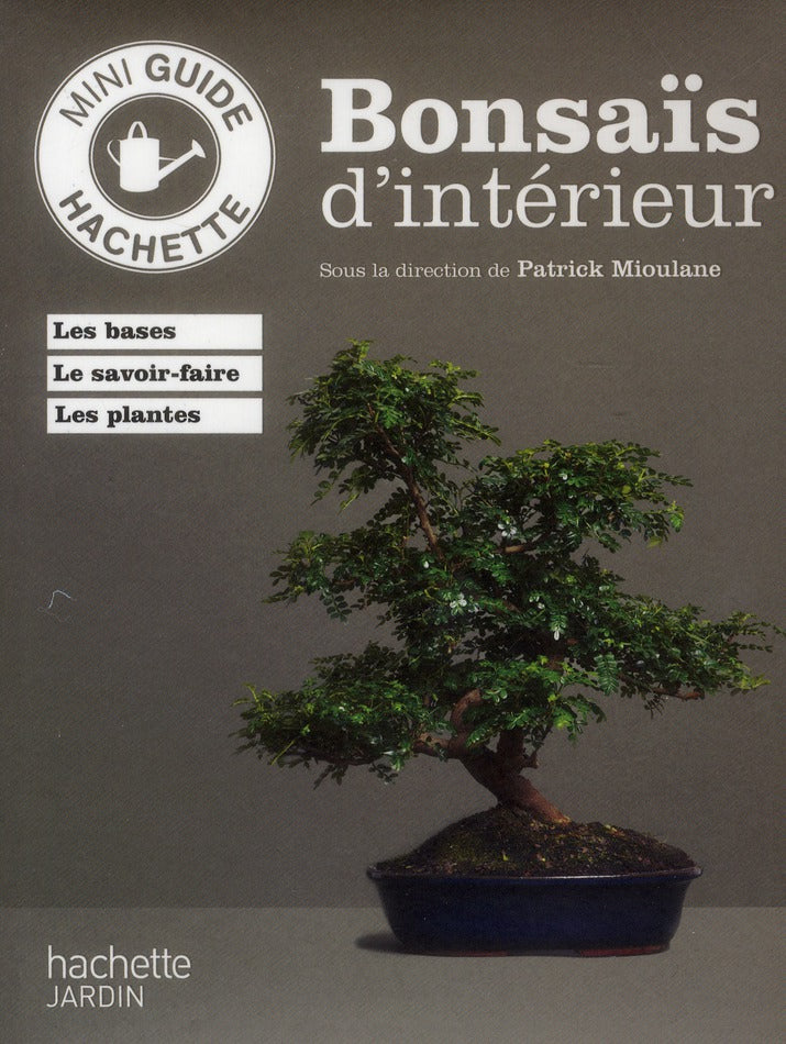 Bonsaïs d'intérieur