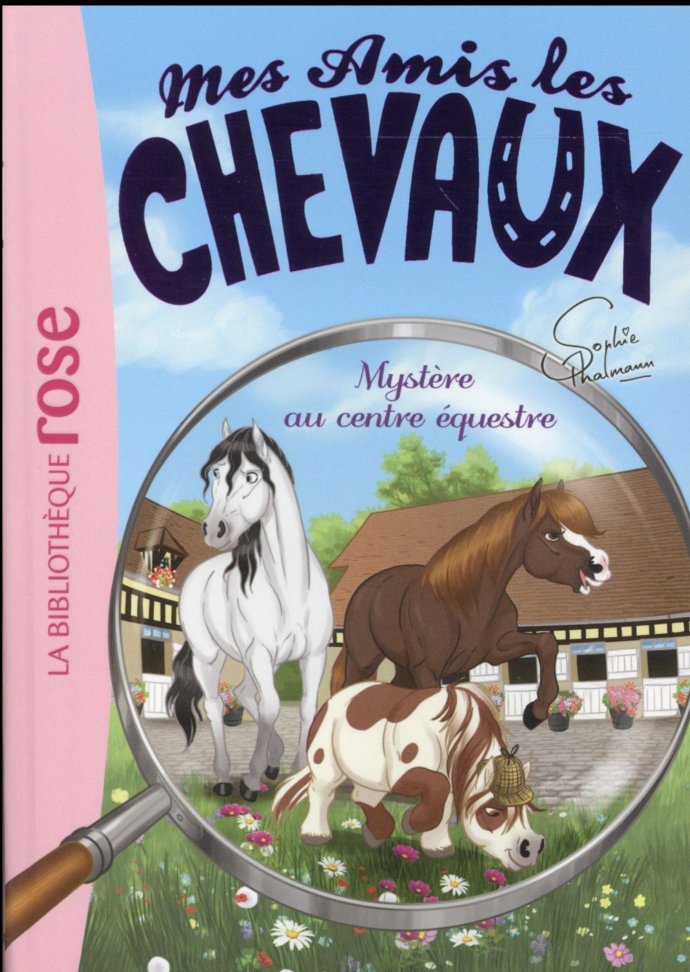 Mes amis les chevaux Tome 12 : mystère au centre équestre