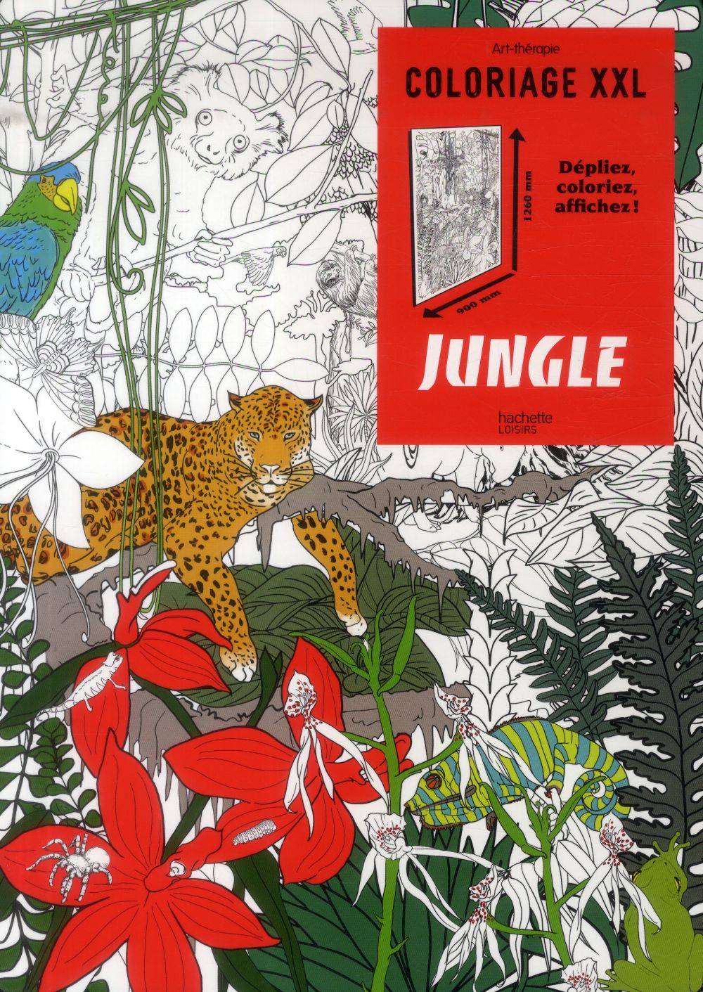 Art-thérapie : coloriage XXL ; jungle