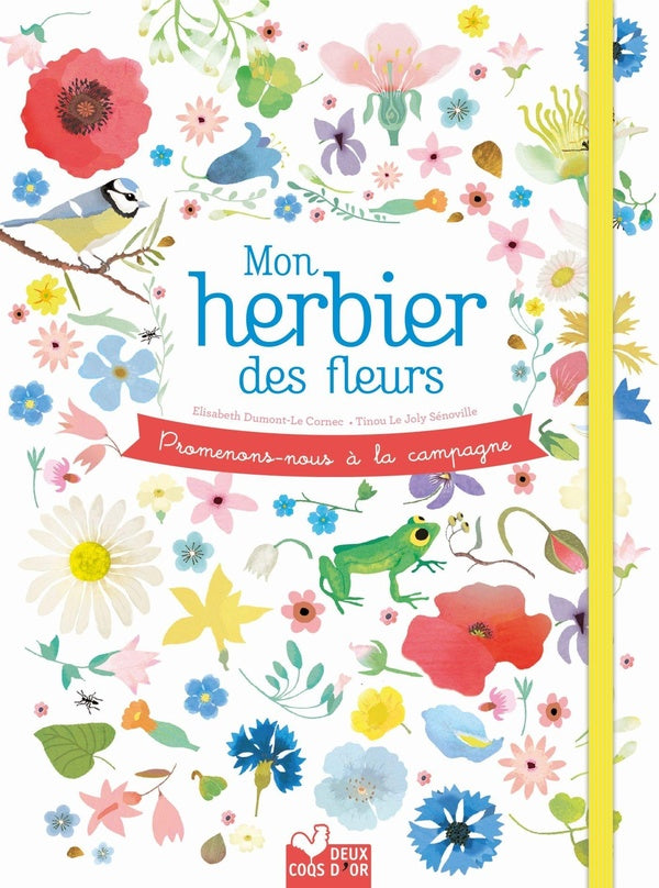 Promenons-nous à la campagne ; mon herbier des fleurs