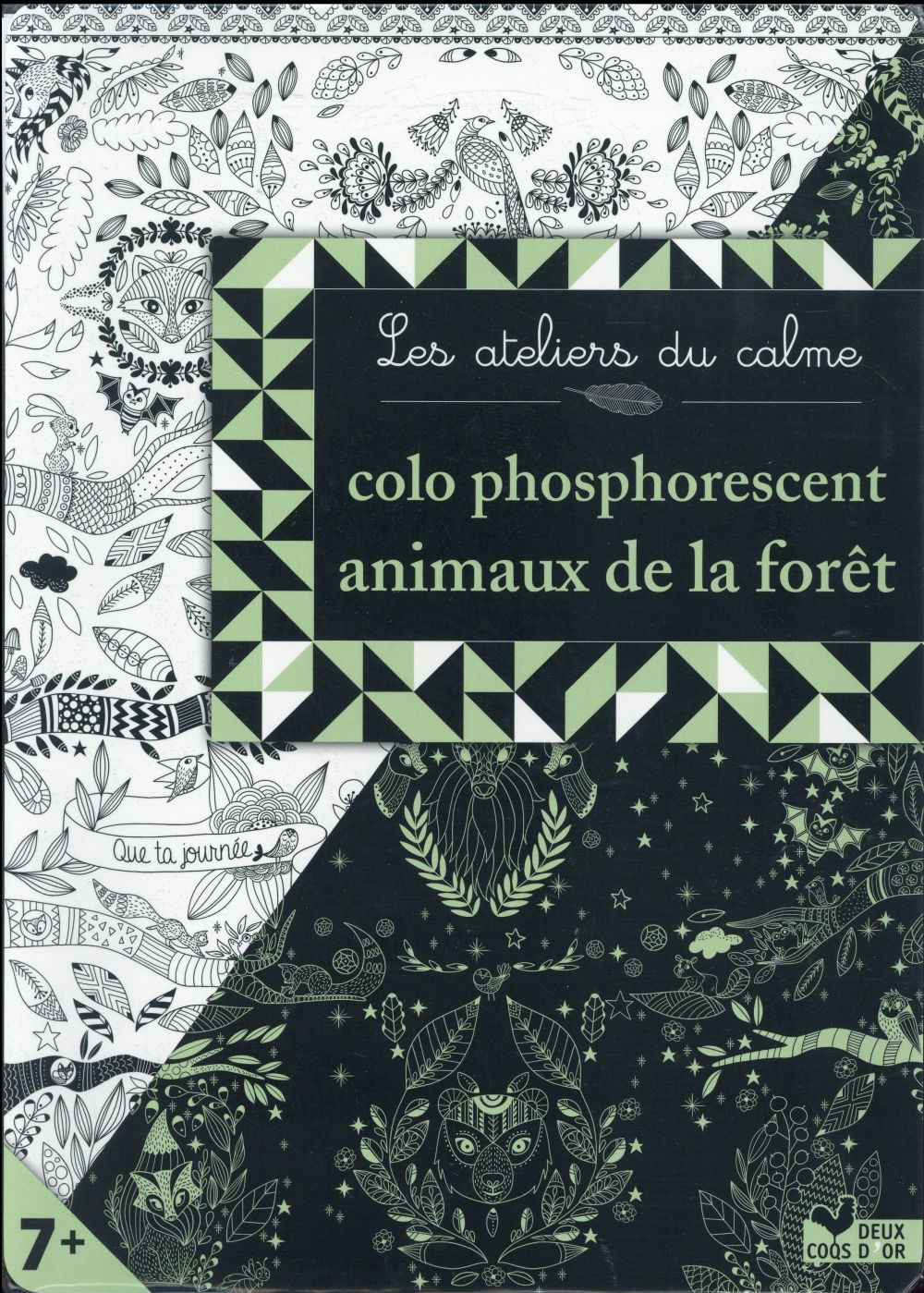 Les ateliers du calme : colo phosphorescent animaux de la forêt