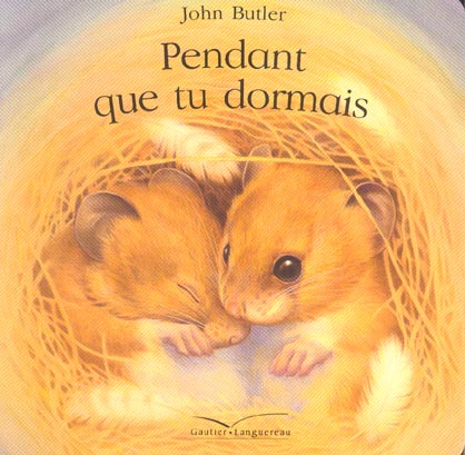 Pendant que tu dormais