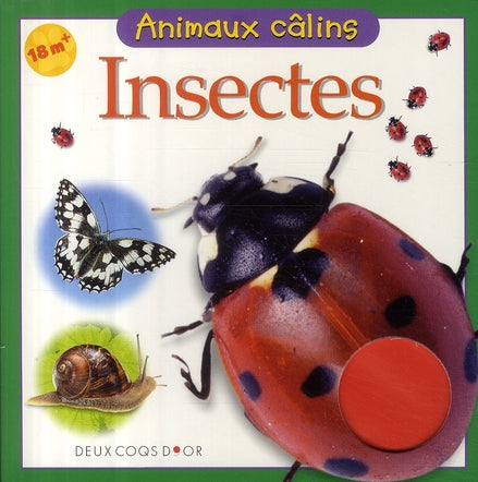Insectes