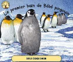 Le premier bain de bebe pingouin