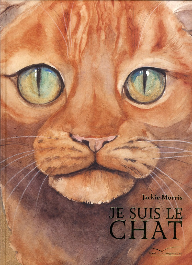 Je suis le chat
