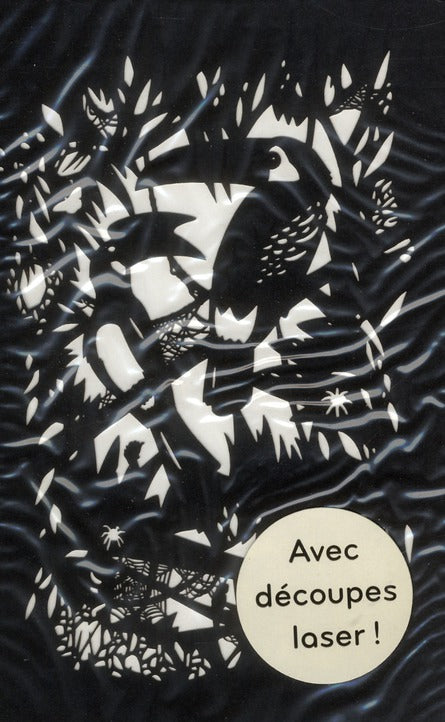 Cartes de voeux ma jungle ; coffret