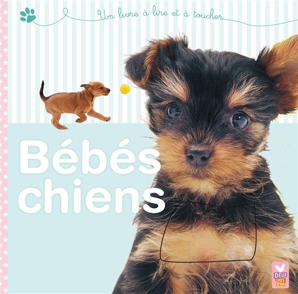 Bébés chiens