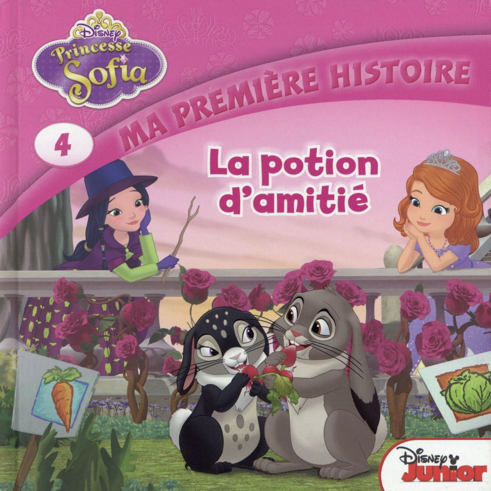 Princesse Sofia : la potion d'amitié