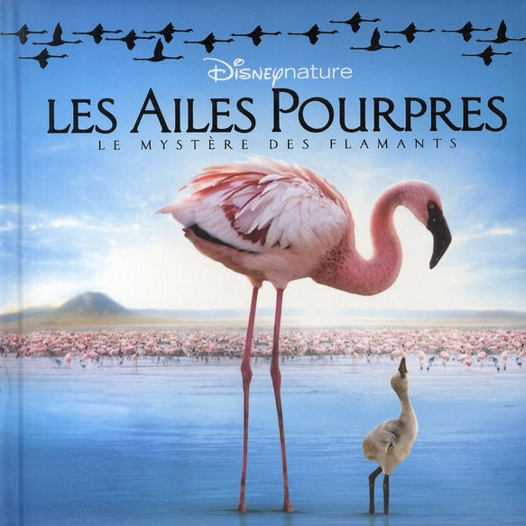 Les ailes pourpres ; le mystère des flamants