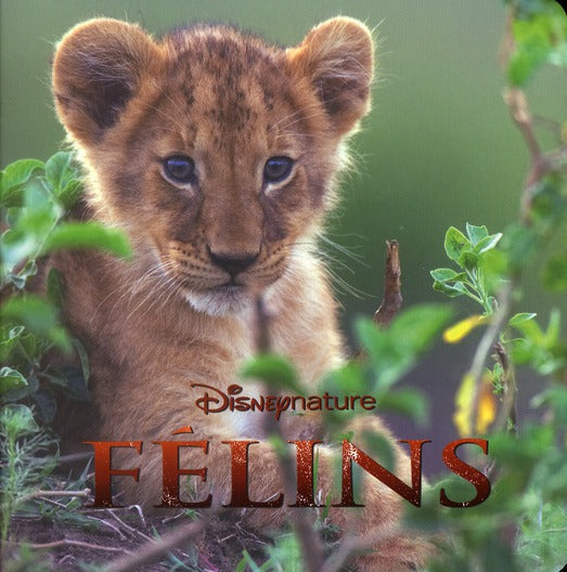 Félins