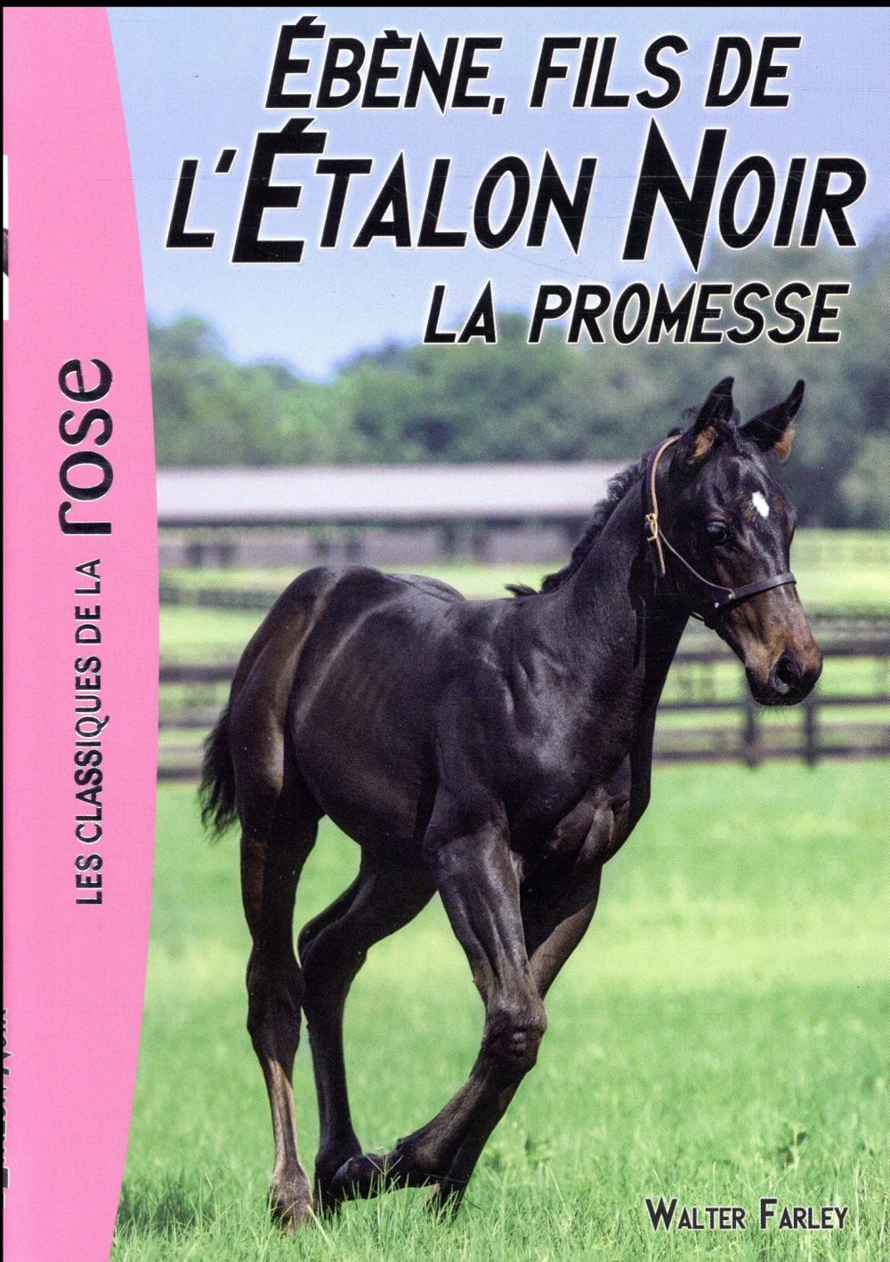 L'étalon noir Tome 21 : Ebène, fils de l'Etalon noir Tome 1 ; la promesse