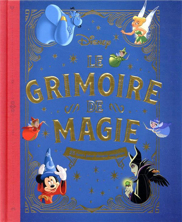 Le grimoire de magie ; 25 tours pour devenir magicien