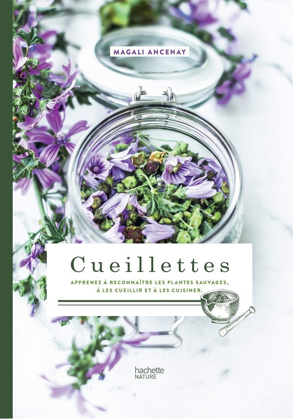 Cueillettes ; apprenez à reconnaître les plantes sauvages, à les cueillir et à les cuisiner