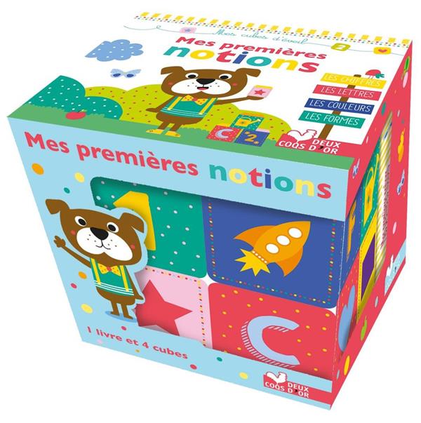 Mes premières notions ; boîte avec cubes en PVC et tout carton