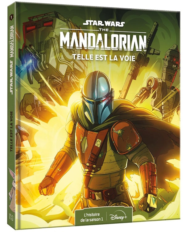 Star Wars : the Mandalorian ; l'histoire de la saison 1 ; telle est la voie