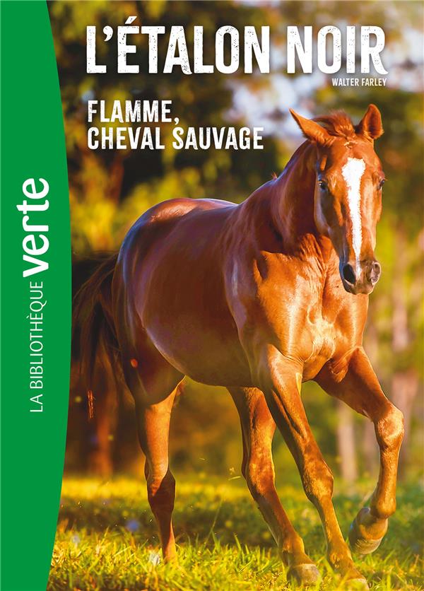 L'étalon noir Tome 10 : Flamme cheval sauvage