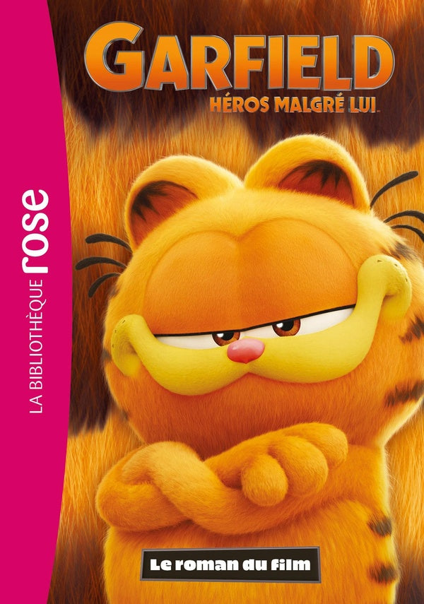 Garfield, héros malgré lui : Le roman du film