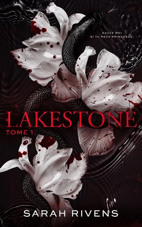 (Occasion) - Lakestone Tome 1 - flash vidéo
