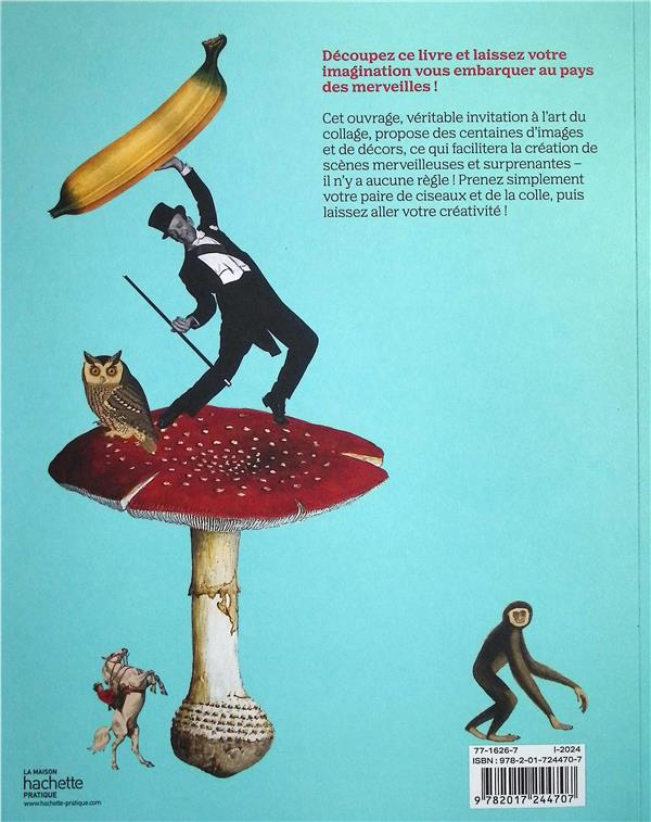 Découpez ce livre : Wonderland ; Et créez votre propre monde merveilleux