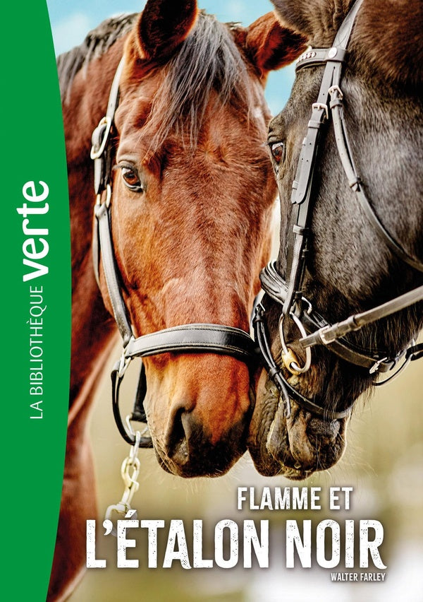 L'étalon noir Tome 17 : Flamme et l'Étalon noir