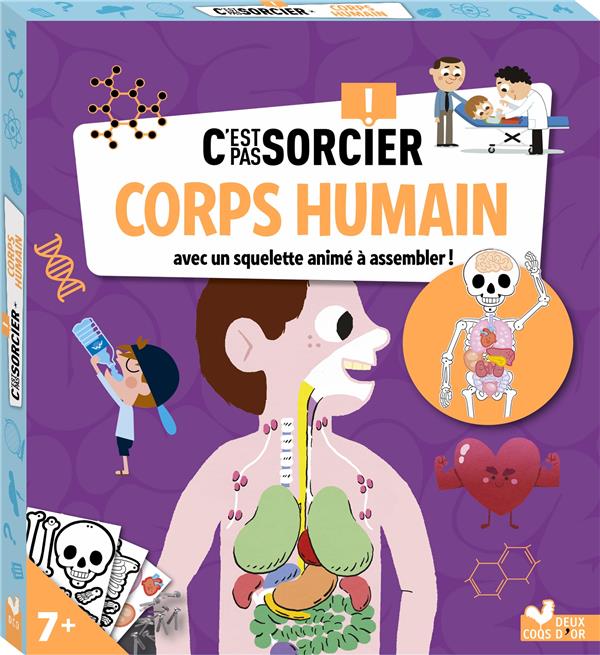 C'est pas sorcier : corps humain : avec un squelette animé à assembler !