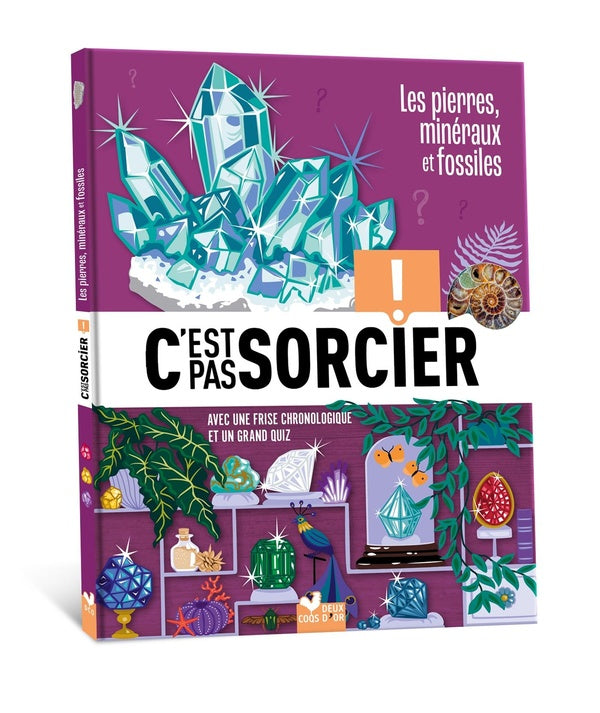 C'est pas sorcier : Les pierres, minéraux et fossiles