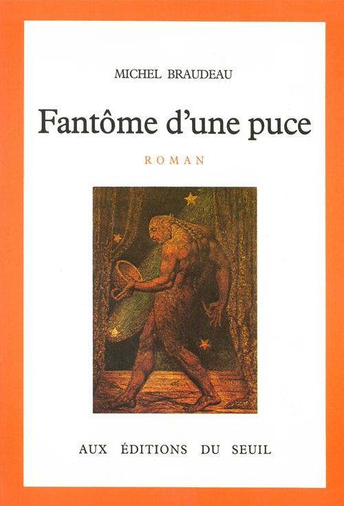 Fantôme d'une puce - flash vidéo