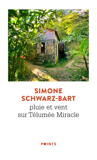 Pluie et vent sur Télumée Miracle