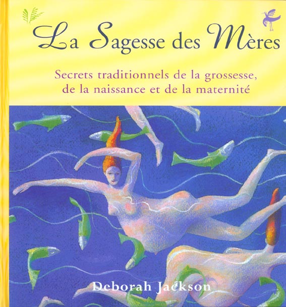 La sagesse des meres. secrets traditionnels de la grossesse, de la naissance et de la maternite - flash vidéo